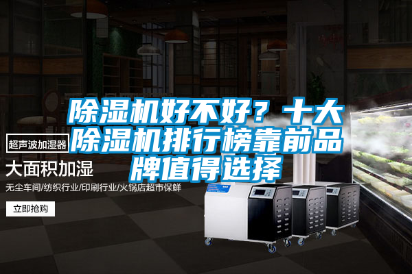 除濕機(jī)好不好？十大除濕機(jī)排行榜靠前品牌值得選擇