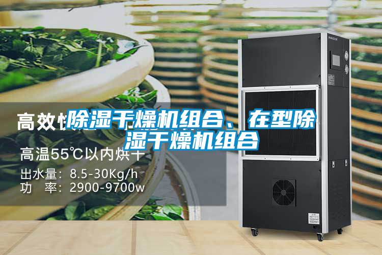 除濕干燥機(jī)組合、在型除濕干燥機(jī)組合