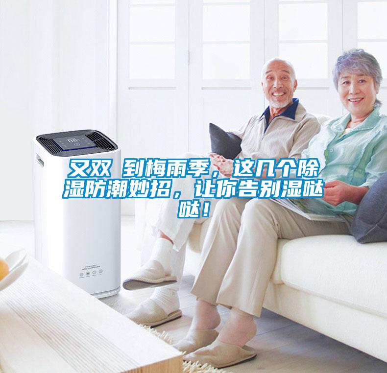 又雙叒到梅雨季，這幾個(gè)除濕防潮妙招，讓你告別濕噠噠！