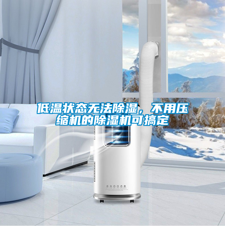 低溫狀態(tài)無(wú)法除濕，不用壓縮機(jī)的除濕機(jī)可搞定
