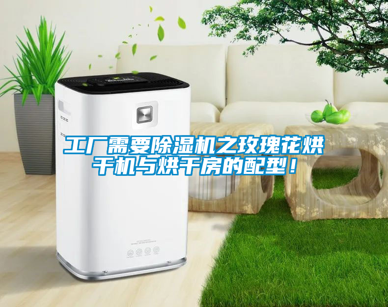 工廠需要除濕機(jī)之玫瑰花烘干機(jī)與烘干房的配型！