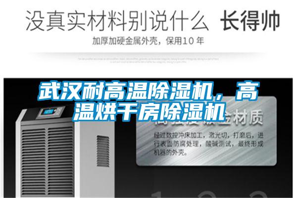 武漢耐高溫除濕機(jī)，高溫烘干房除濕機(jī)