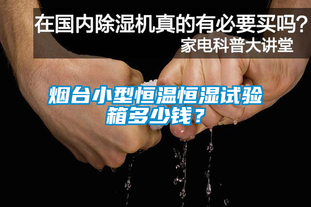 煙臺小型恒溫恒濕試驗箱多少錢？