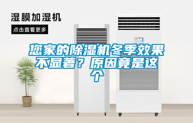 您家的除濕機(jī)冬季效果不顯著？原因竟是這個(gè)