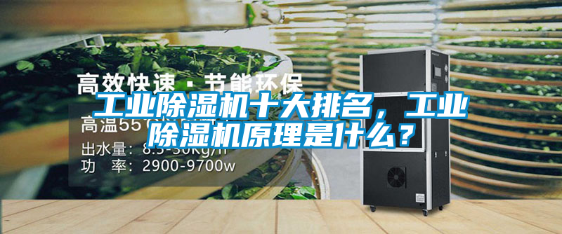 工業(yè)除濕機(jī)十大排名，工業(yè)除濕機(jī)原理是什么？