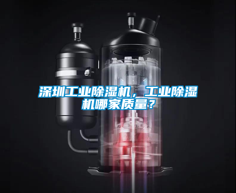 深圳工業(yè)除濕機(jī)，工業(yè)除濕機(jī)哪家質(zhì)量？