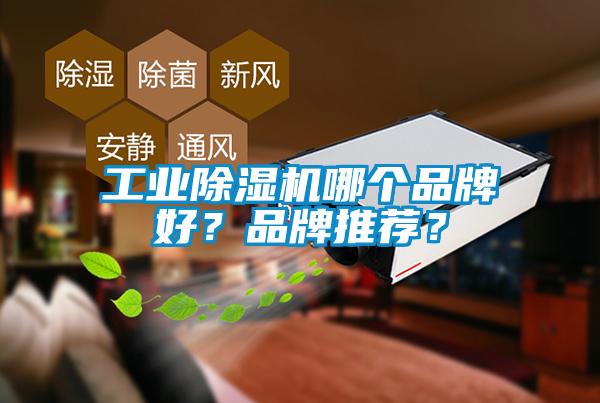 工業(yè)除濕機哪個品牌好？品牌推薦？