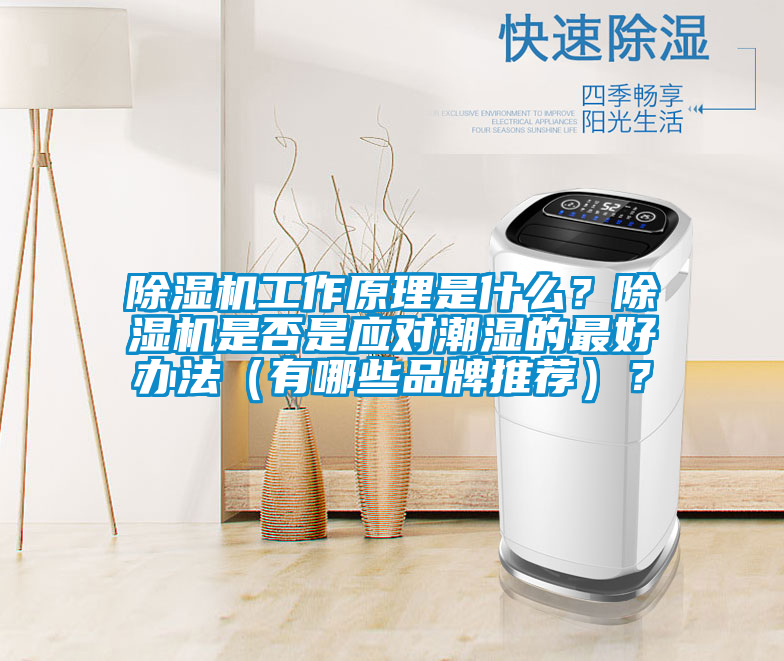 除濕機(jī)工作原理是什么？除濕機(jī)是否是應(yīng)對(duì)潮濕的最好辦法（有哪些品牌推薦）？
