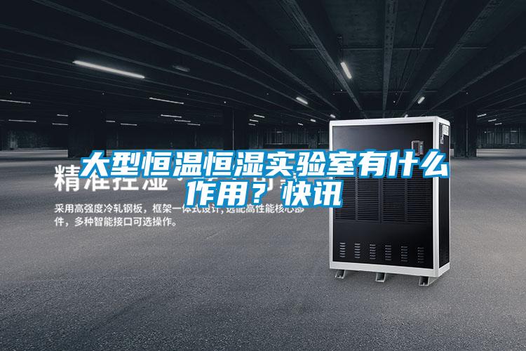 大型恒溫恒濕實(shí)驗(yàn)室有什么作用？快訊