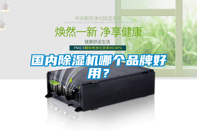 國內(nèi)除濕機(jī)哪個(gè)品牌好用？