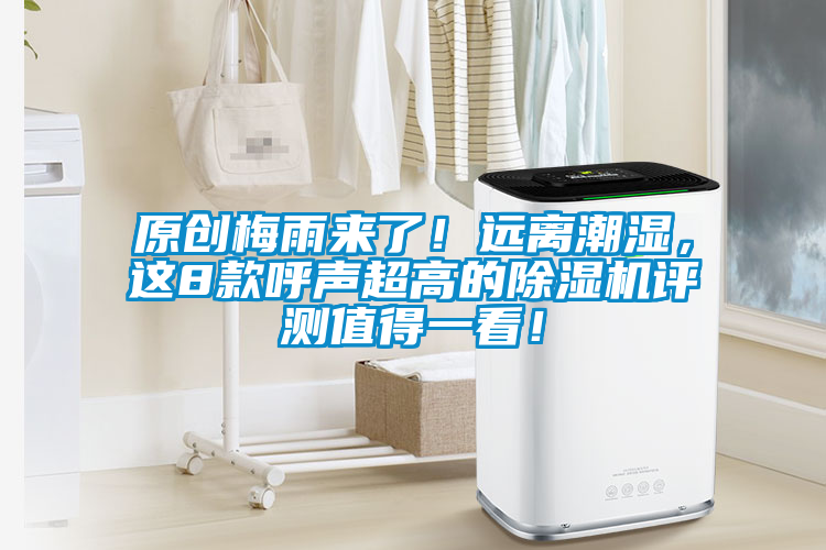 原創(chuàng)梅雨來了！遠離潮濕，這8款呼聲超高的除濕機評測值得一看！