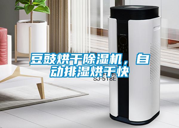 豆豉烘干除濕機(jī)，自動(dòng)排濕烘干快