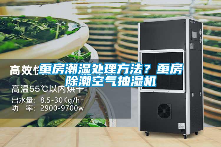 蠶房潮濕處理方法？蠶房除潮空氣抽濕機(jī)