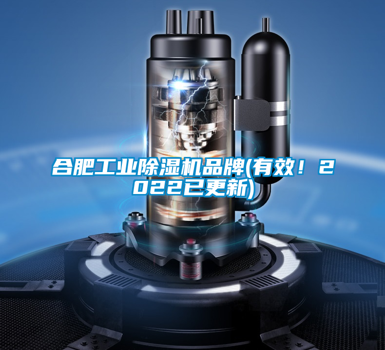 合肥工業(yè)除濕機(jī)品牌(有效！2022已更新)