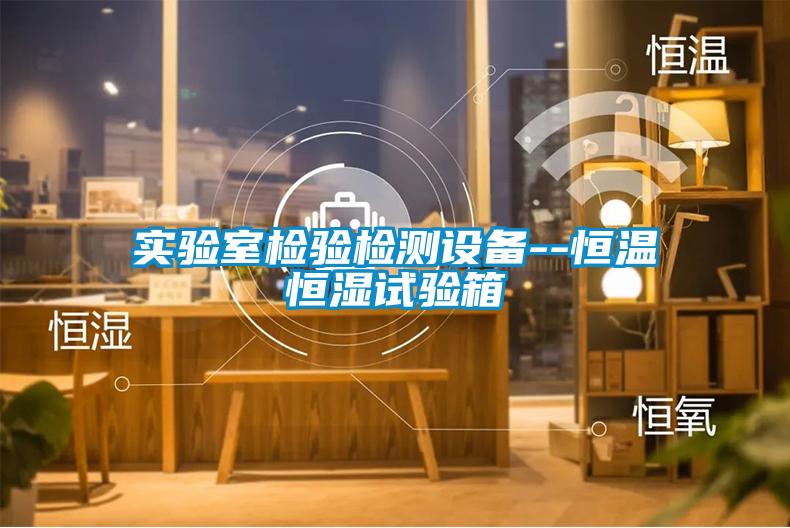 實(shí)驗(yàn)室檢驗(yàn)檢測設(shè)備--恒溫恒濕試驗(yàn)箱