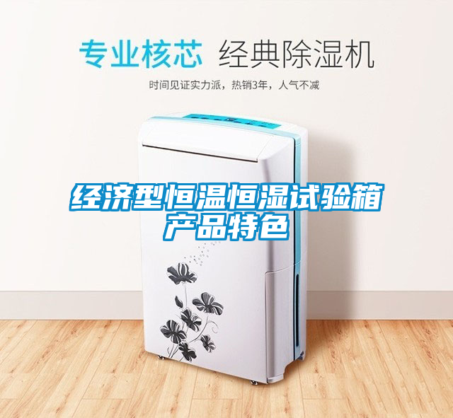 經(jīng)濟型恒溫恒濕試驗箱產(chǎn)品特色