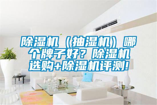 除濕機(jī)（抽濕機(jī)）哪個(gè)牌子好？除濕機(jī)選購+除濕機(jī)評(píng)測(cè)!
