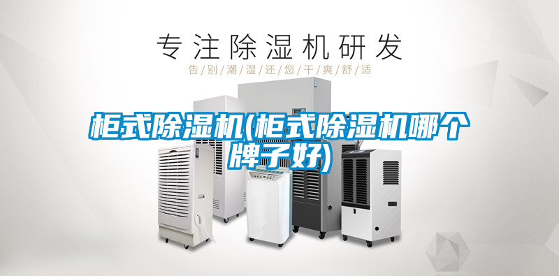 柜式除濕機(jī)(柜式除濕機(jī)哪個牌子好)