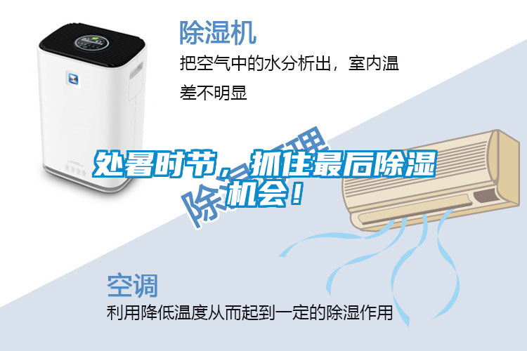 處暑時節(jié)，抓住最后除濕機會！