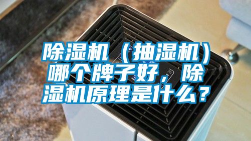 除濕機(jī)（抽濕機(jī)）哪個(gè)牌子好，除濕機(jī)原理是什么？