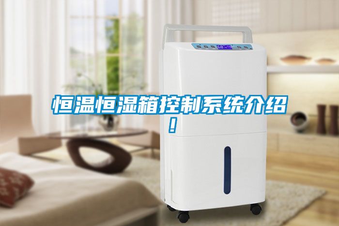 恒溫恒濕箱控制系統(tǒng)介紹！