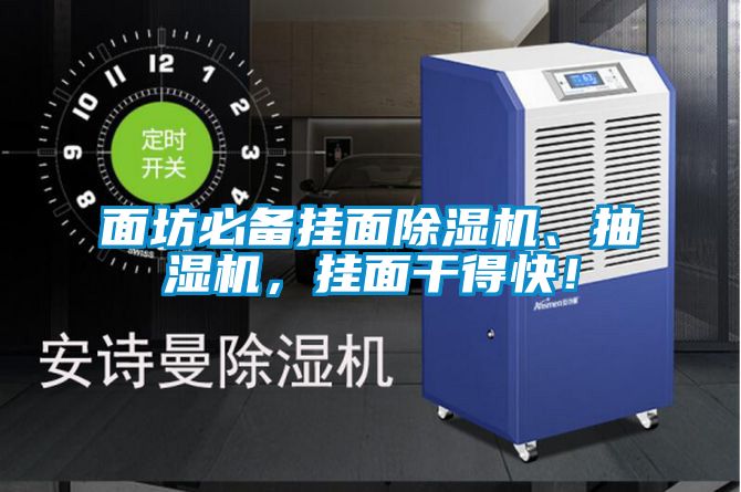 面坊必備掛面除濕機、抽濕機，掛面干得快！