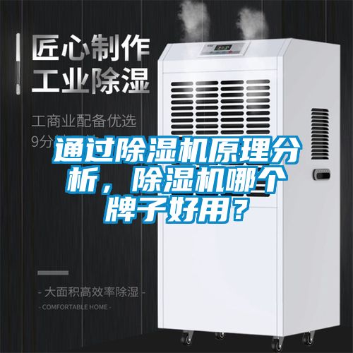 通過除濕機(jī)原理分析，除濕機(jī)哪個(gè)牌子好用？