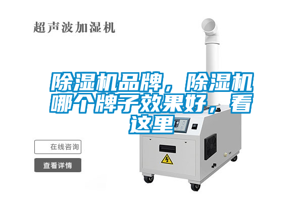 除濕機(jī)品牌，除濕機(jī)哪個牌子效果好，看這里