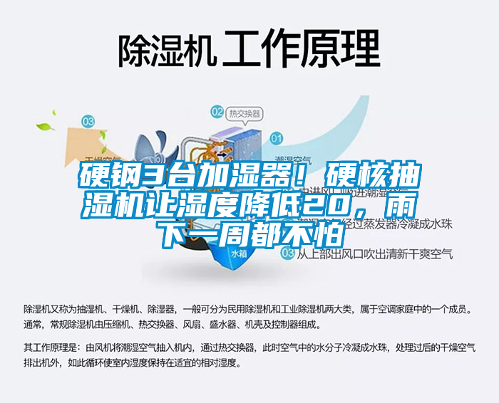 硬鋼3臺加濕器！硬核抽濕機讓濕度降低20，雨下一周都不怕