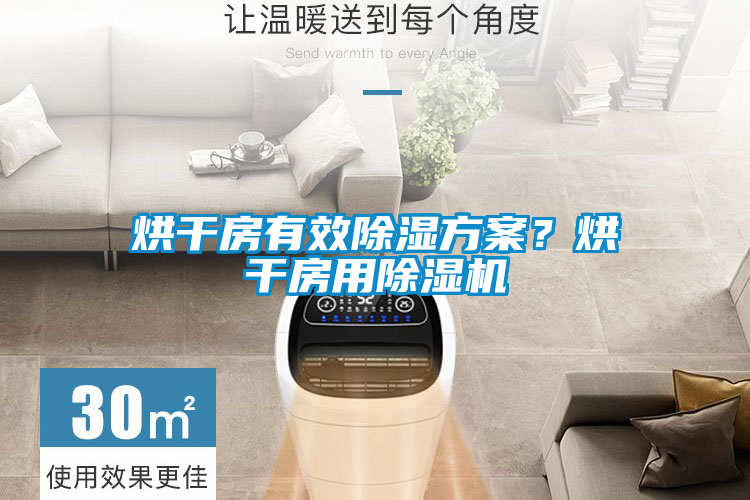 烘干房有效除濕方案？烘干房用除濕機