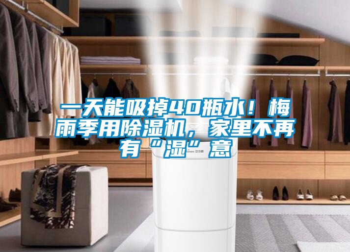 一天能吸掉40瓶水！梅雨季用除濕機(jī)，家里不再有“濕”意