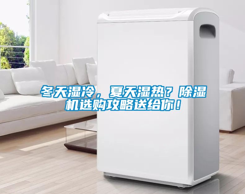 冬天濕冷，夏天濕熱？除濕機選購攻略送給你！