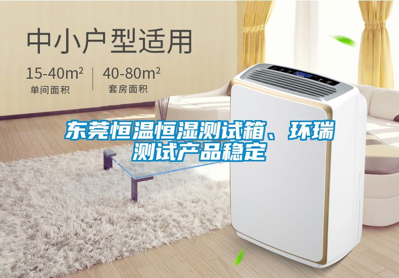 東莞恒溫恒濕測試箱、環(huán)瑞測試產品穩(wěn)定