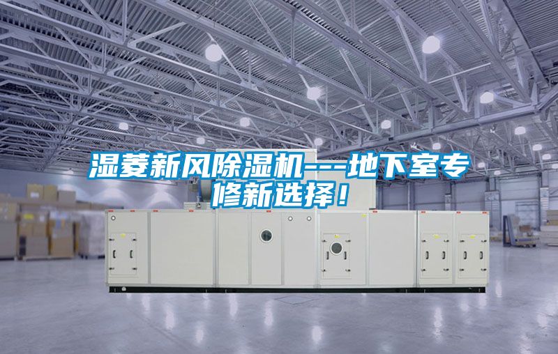 濕菱新風(fēng)除濕機(jī)---地下室專修新選擇！