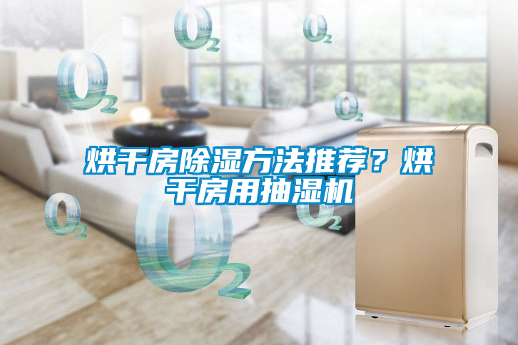 烘干房除濕方法推薦？烘干房用抽濕機