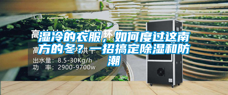 濕冷的衣服，如何度過這南方的冬？一招搞定除濕和防潮