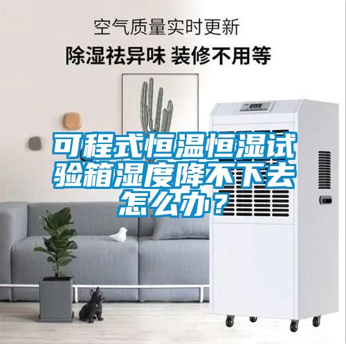 可程式恒溫恒濕試驗(yàn)箱濕度降不下去怎么辦？