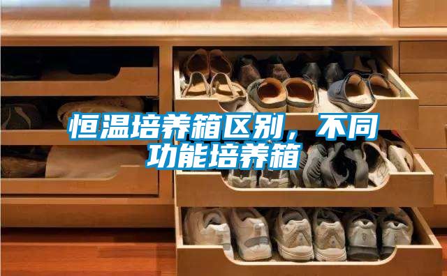 恒溫培養(yǎng)箱區(qū)別，不同功能培養(yǎng)箱