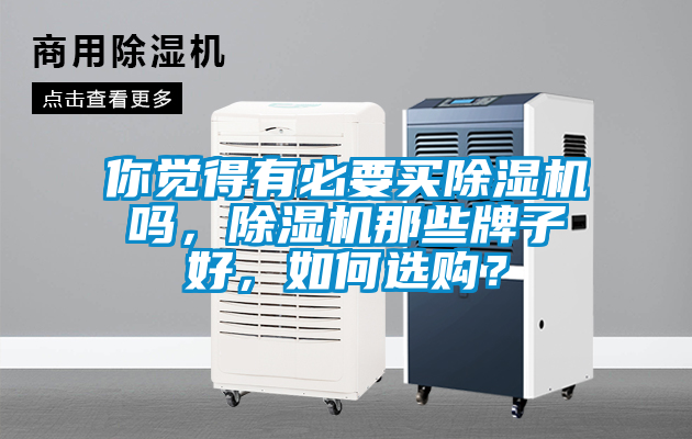 你覺得有必要買除濕機嗎，除濕機那些牌子好，如何選購？