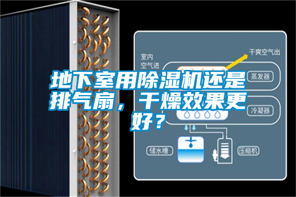 地下室用除濕機(jī)還是排氣扇，干燥效果更好？