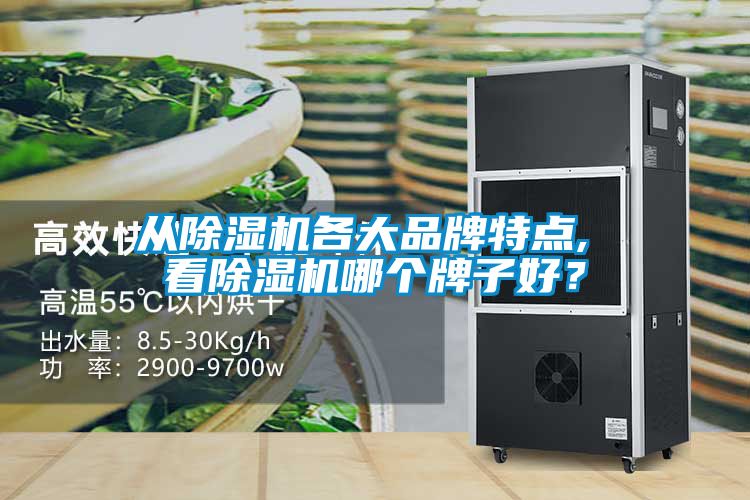 從除濕機(jī)各大品牌特點(diǎn), 看除濕機(jī)哪個(gè)牌子好？