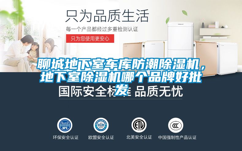 聊城地下室車庫防潮除濕機(jī)，地下室除濕機(jī)哪個(gè)品牌好批發(fā)