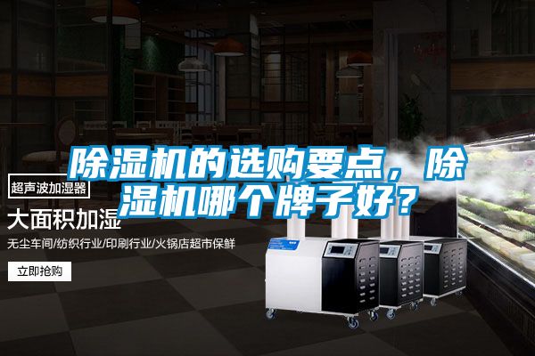 除濕機(jī)的選購(gòu)要點(diǎn)，除濕機(jī)哪個(gè)牌子好？