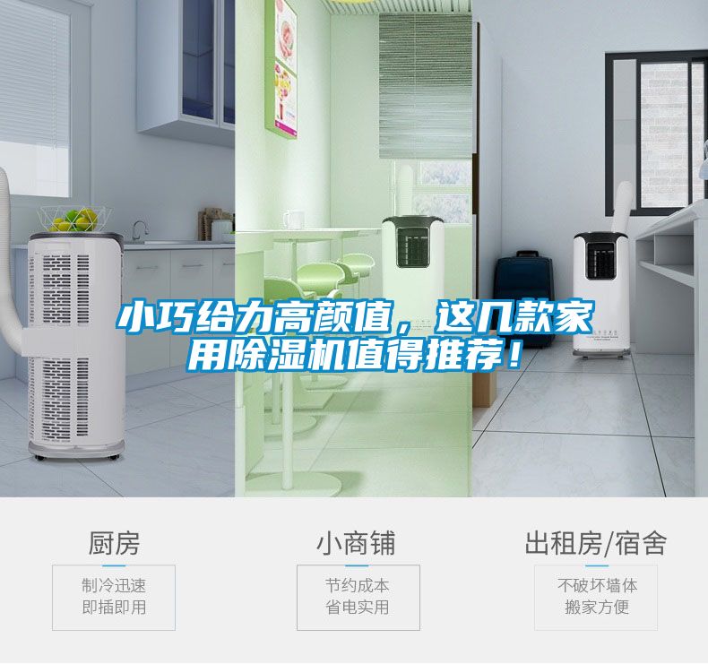 小巧給力高顏值，這幾款家用除濕機(jī)值得推薦！