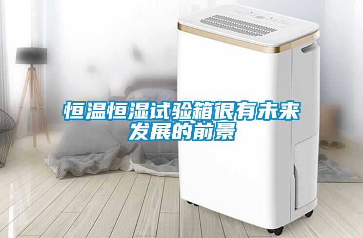 恒溫恒濕試驗(yàn)箱很有未來發(fā)展的前景