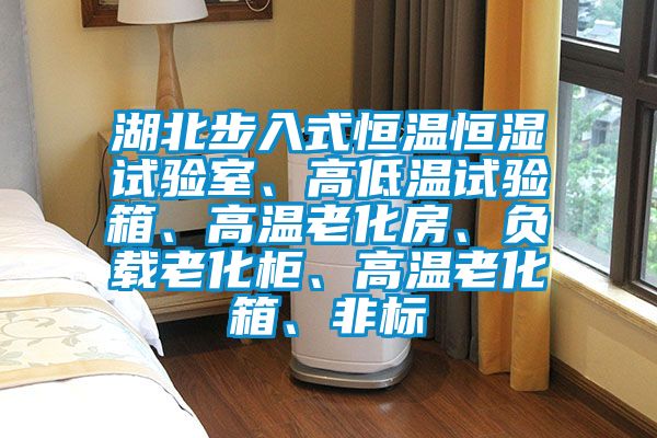 湖北步入式恒溫恒濕試驗室、高低溫試驗箱、高溫老化房、負載老化柜、高溫老化箱、非標