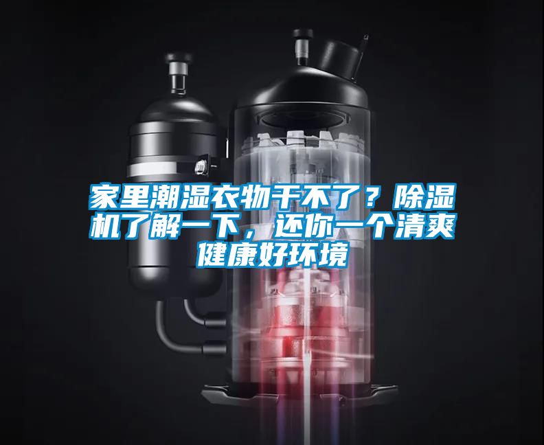 家里潮濕衣物干不了？除濕機(jī)了解一下，還你一個(gè)清爽健康好環(huán)境