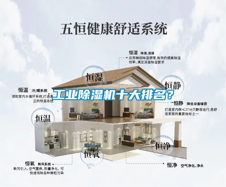 工業(yè)除濕機(jī)十大排名？