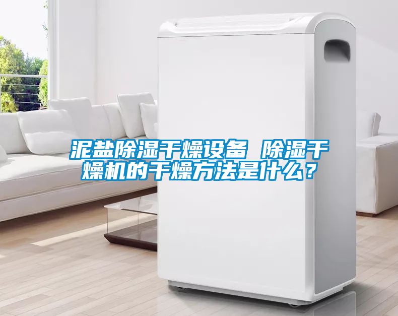 泥鹽除濕干燥設(shè)備 除濕干燥機(jī)的干燥方法是什么？
