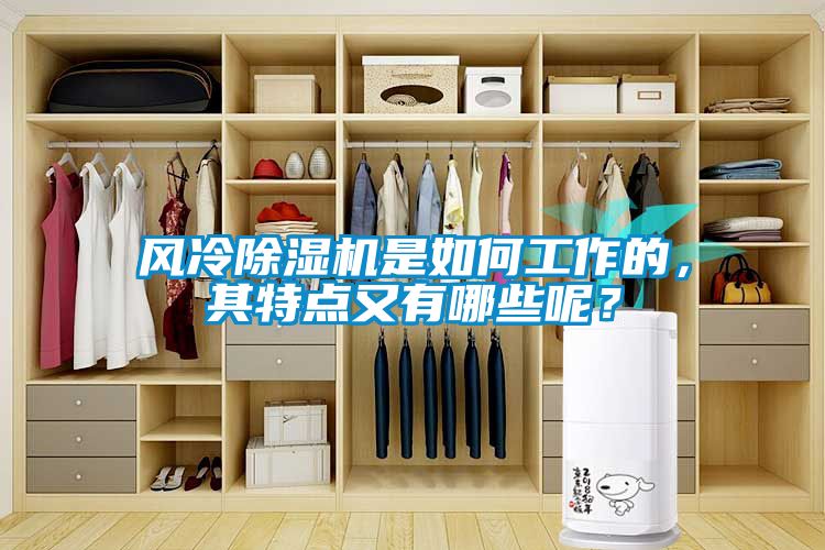 風(fēng)冷除濕機是如何工作的，其特點又有哪些呢？